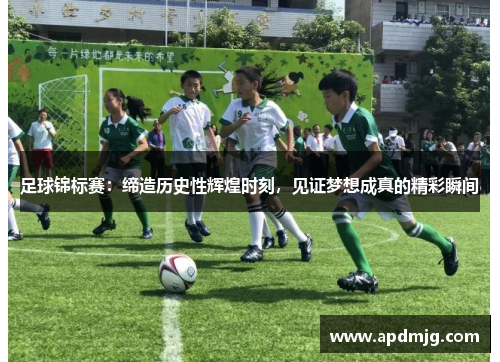 足球锦标赛：缔造历史性辉煌时刻，见证梦想成真的精彩瞬间