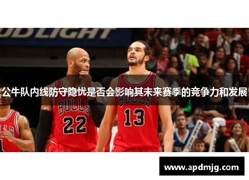公牛队内线防守隐忧是否会影响其未来赛季的竞争力和发展