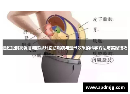 通过短时高强度训练提升脂肪燃烧与塑形效果的科学方法与实操技巧