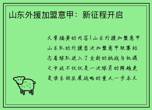 山东外援加盟意甲：新征程开启