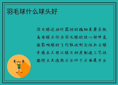 羽毛球什么球头好
